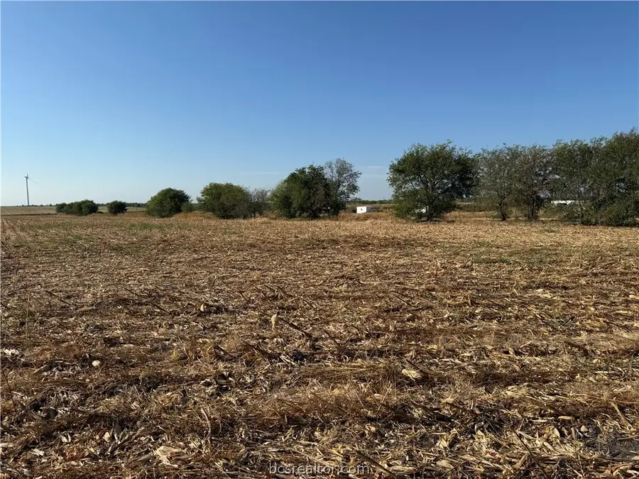 TBD Fm 936, Other, TX 76635 - #2