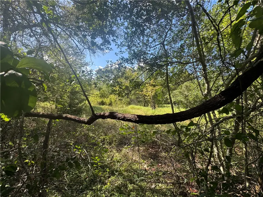 16547  TBD State Highway 105 W, Washington, TX 77880 - #3