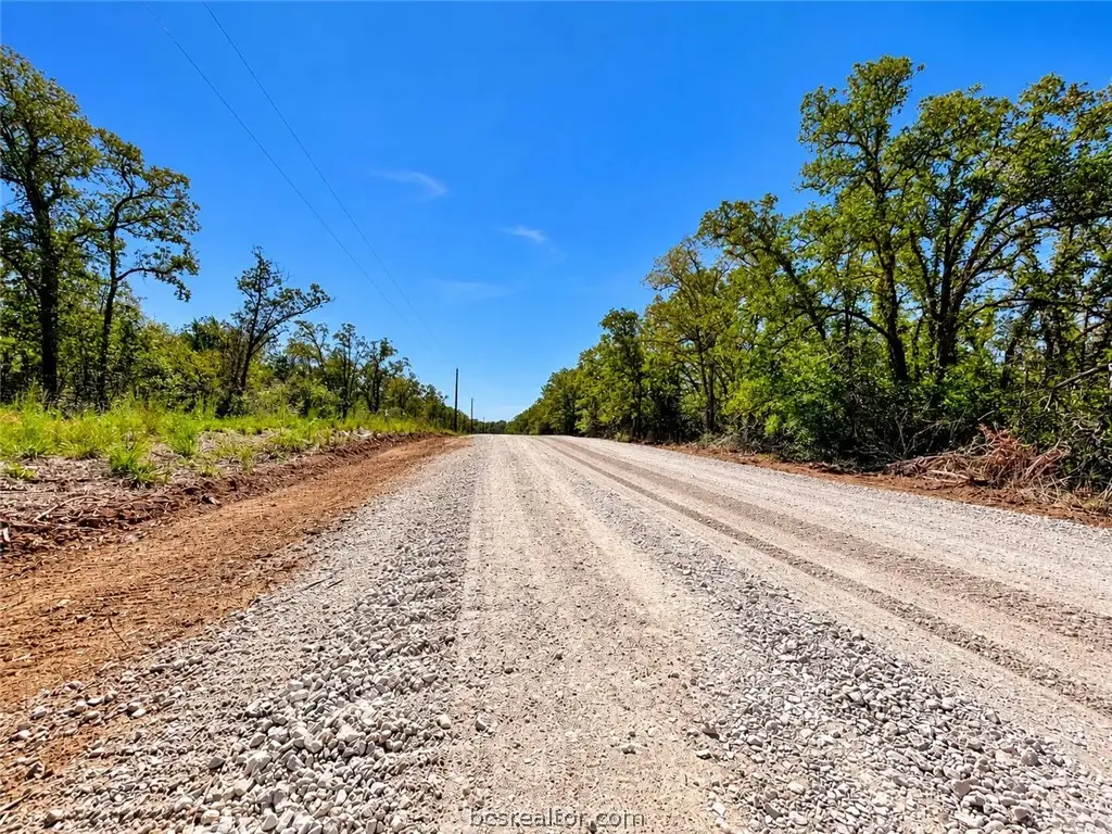 Lot 04-05 Meadow Street, Somerville, TX 77879 - #1