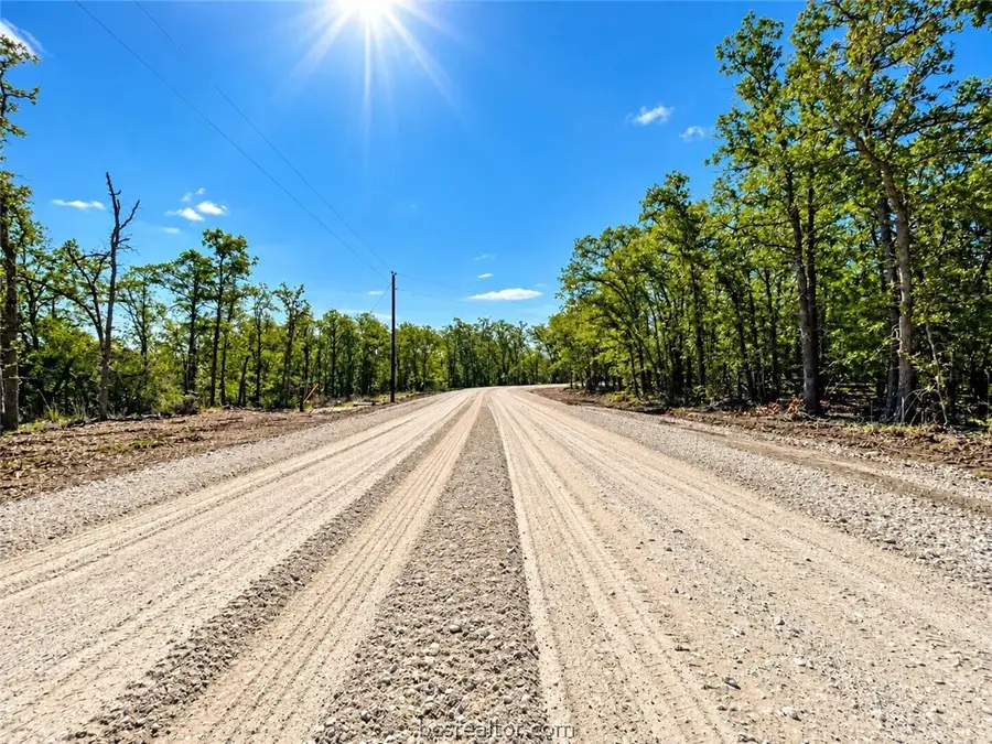 Lot 04-05 Meadow Street, Somerville, TX 77879 - #2