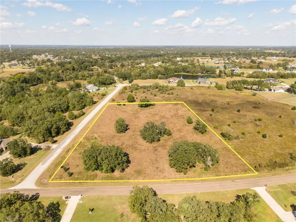 9350 Bishop Bend, Iola, TX 77861 - #1