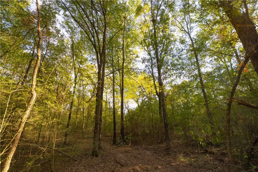 12424 Red Hill Road Lot 18 Countyroad, Hearne, TX 77859 - #2