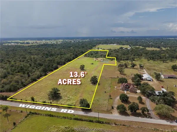 38021 Wiggins Road, Hempstead, TX 77445