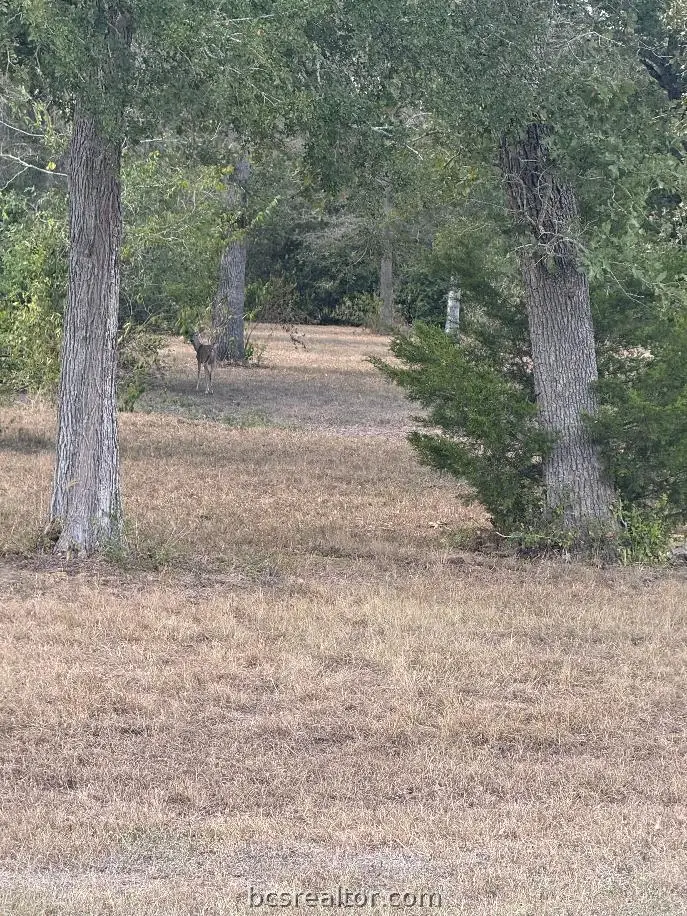 prt of 1251 Deer Point Road, Caldwell, TX 77836 - #1