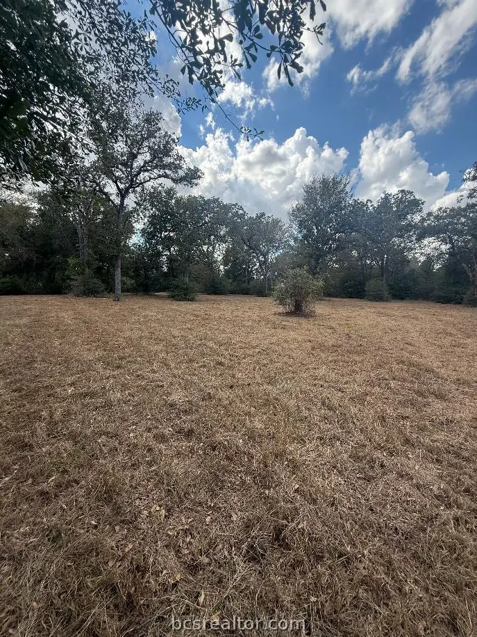 prt of 1251 Deer Point Road, Caldwell, TX 77836 - #3
