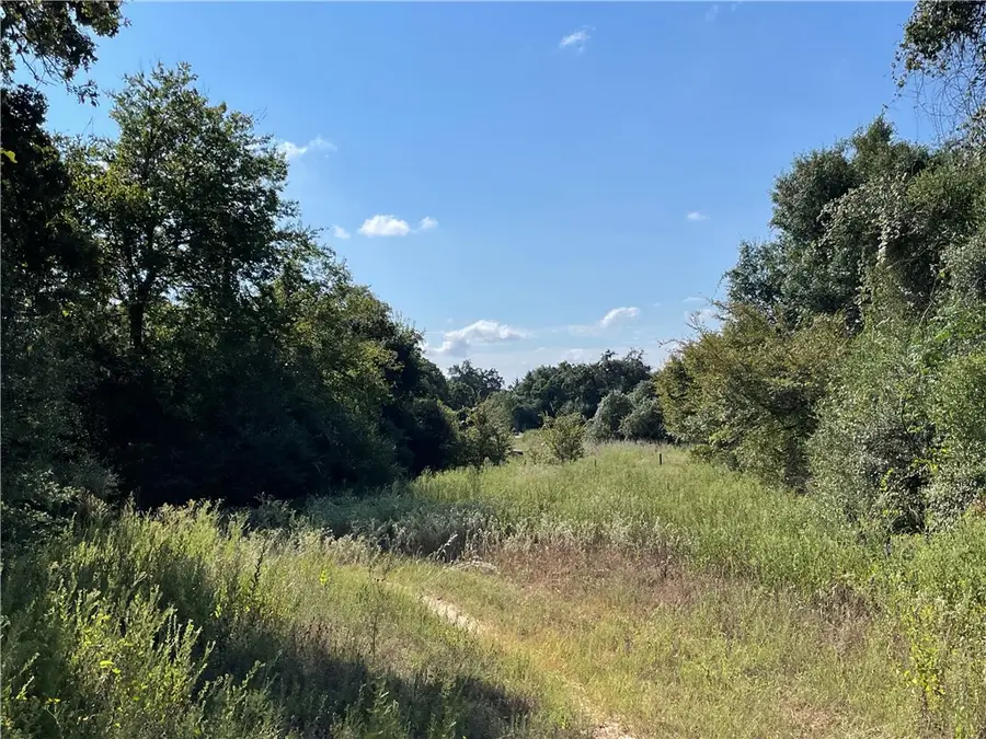 1813 Lone Star Lane, Franklin, TX 77856 - #2