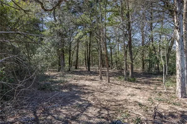 4.81 AC Pauline Lane, Caldwell, TX 77836