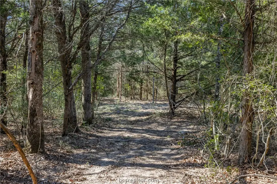 4.81 AC Pauline Lane, Caldwell, TX 77836 - #2
