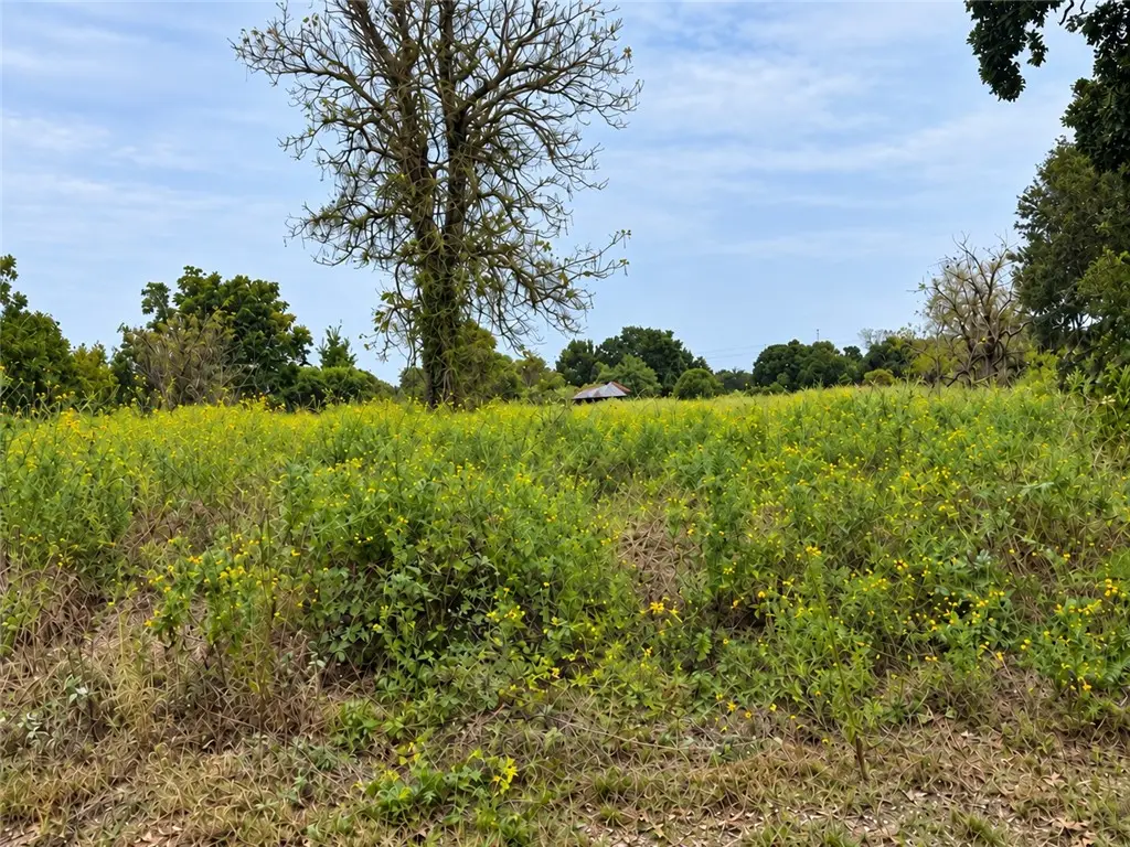 0000 Signal Street, Somerville, TX 77879 - #1