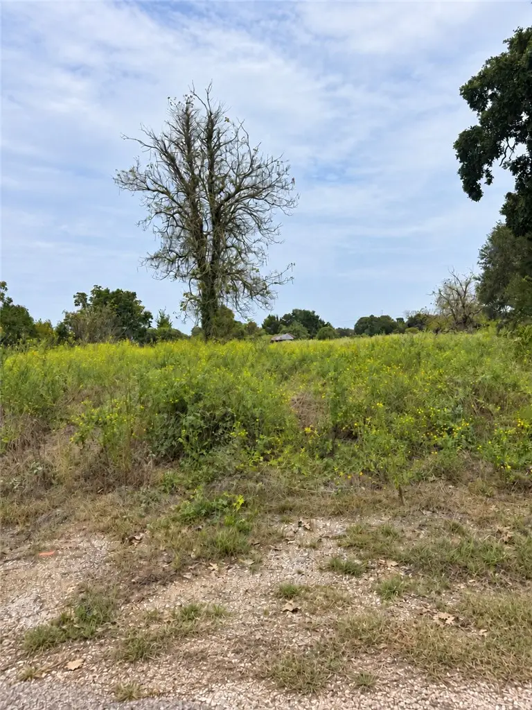 0000 Signal Street, Somerville, TX 77879 - #2