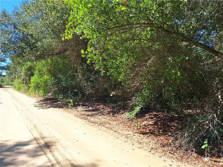 TBD Cedar Drive, Caldwell, TX 77836 - #2