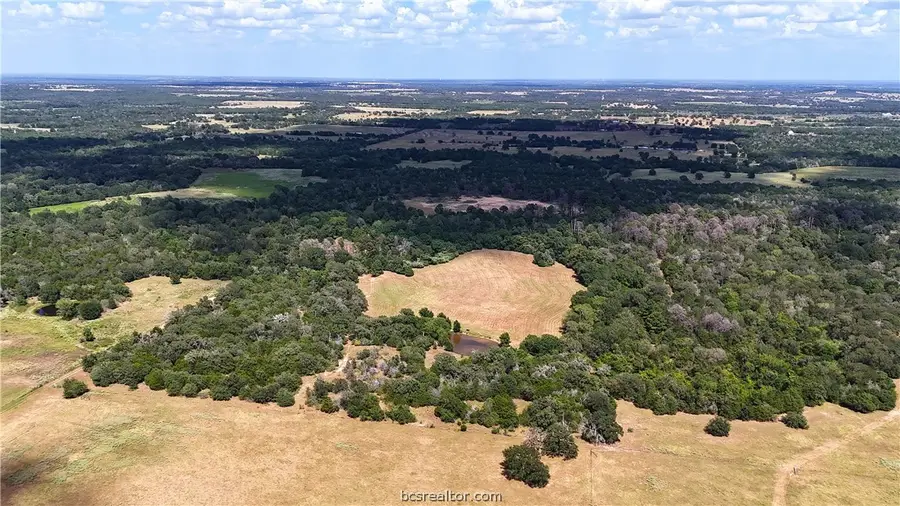 TBD Saint Delight (tracts 8 & 13) Road, Paige, TX 78659 - #3