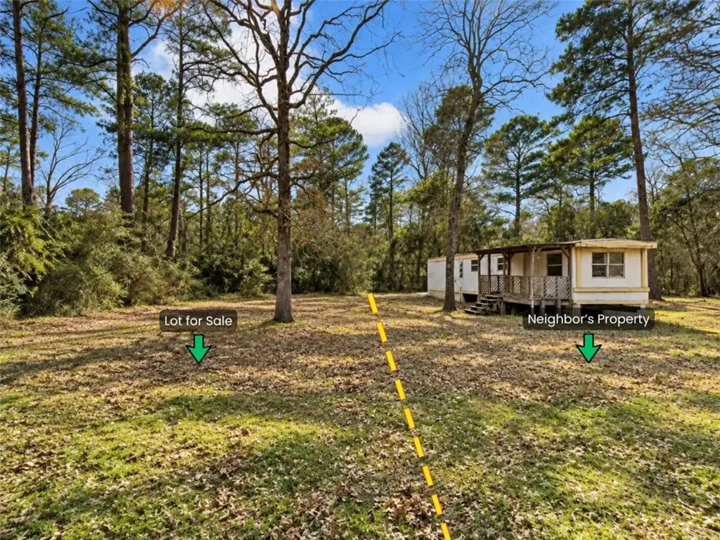 279 Timber Bluff Lane, Shadybrook, TX 75757 - #1