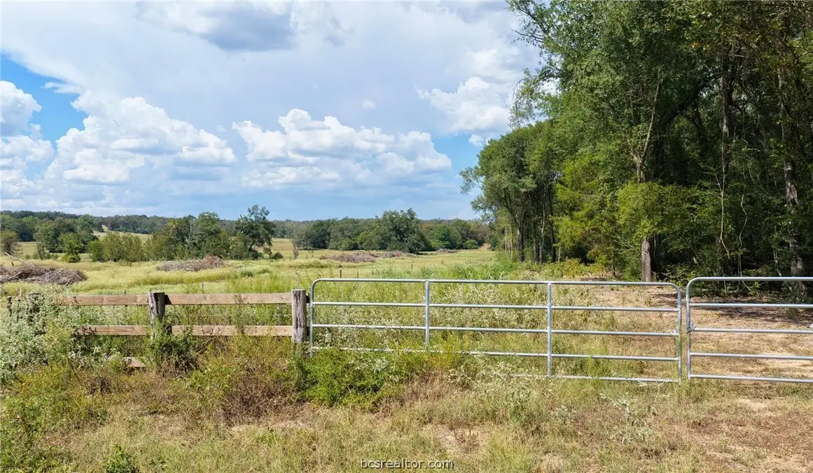 TBD Off Cr 312, Caldwell, TX 77836 - #1