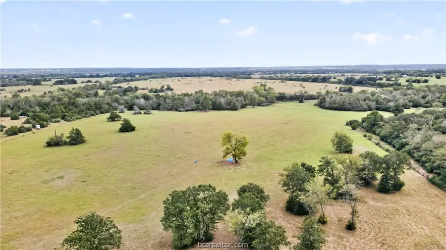 8619 Private Road 1100, Leona, TX 75850 - #2