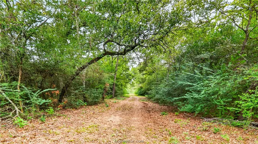 8619 Private Road 1100, Leona, TX 75850 - #3