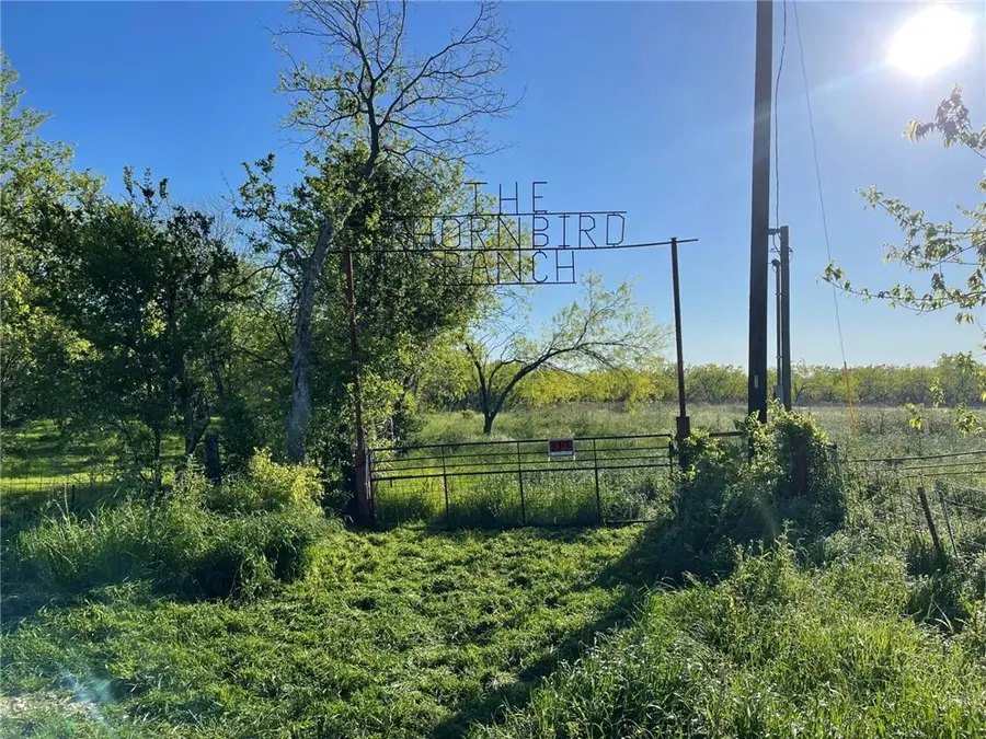 1127 Lcr 607, Mart, TX 76664 - #3