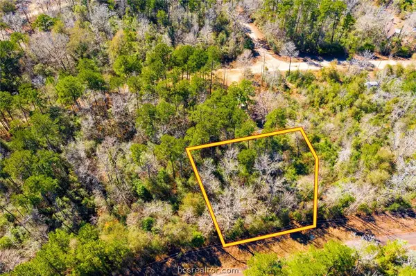 Lot 35 Friar Tuck Drive N, Other, TX 75979