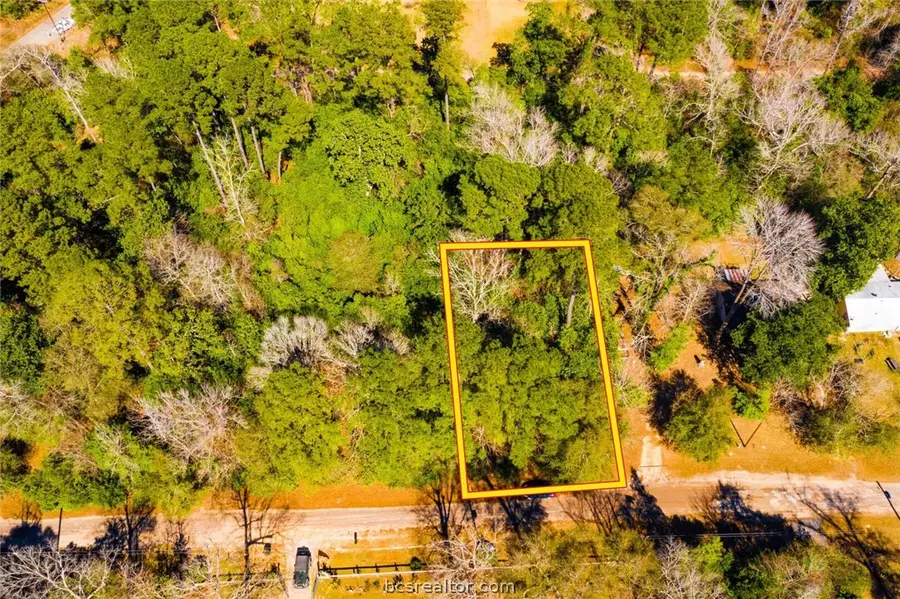 Lot 26 Buckingham Drive, Ivanhoe, TX 75979 - #2