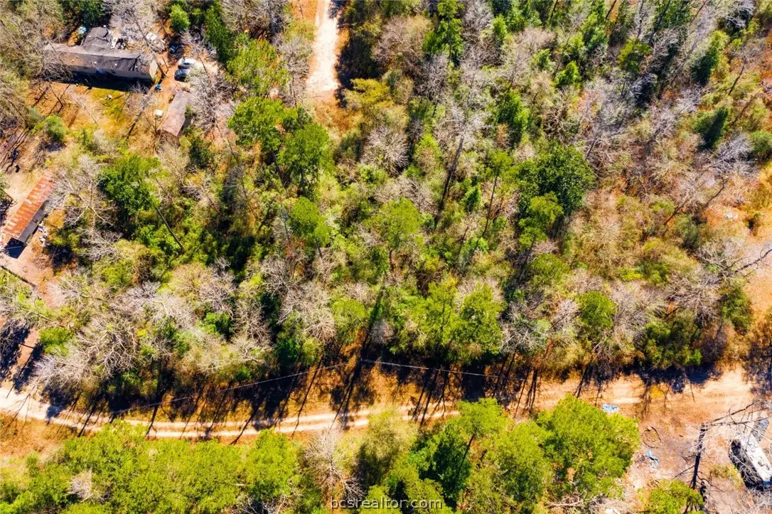 Lots 100-111 Lady Georgie Street, Ivanhoe, TX 75979 - #1