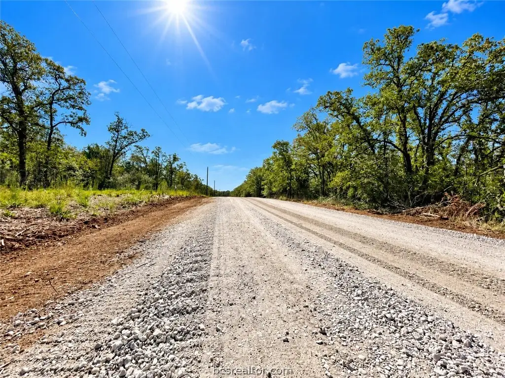 Lot 21-60 Meadow Street, Somerville, TX 77879 - #1