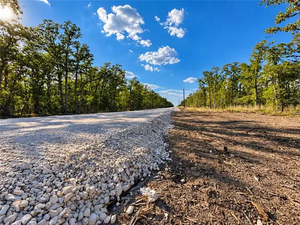 Lot 29-52 Meadow Street, Somerville, TX 77879