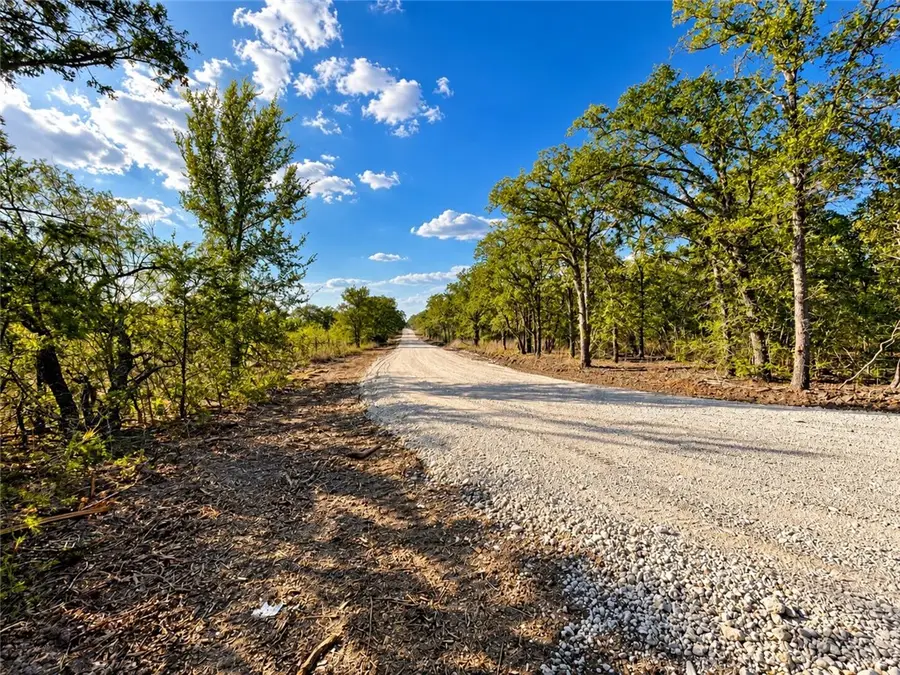 Lot 29-52 Meadow Street, Somerville, TX 77879 - #3