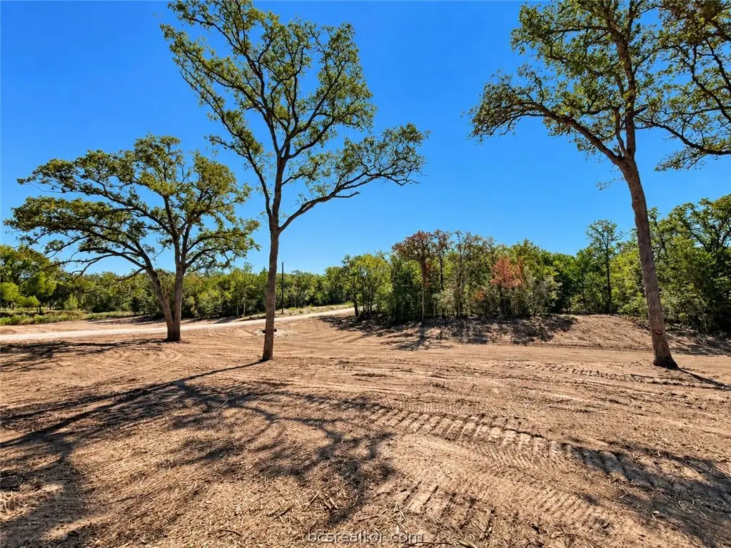 Lot 30-51 Meadow Street, Somerville, TX 77879 - #1