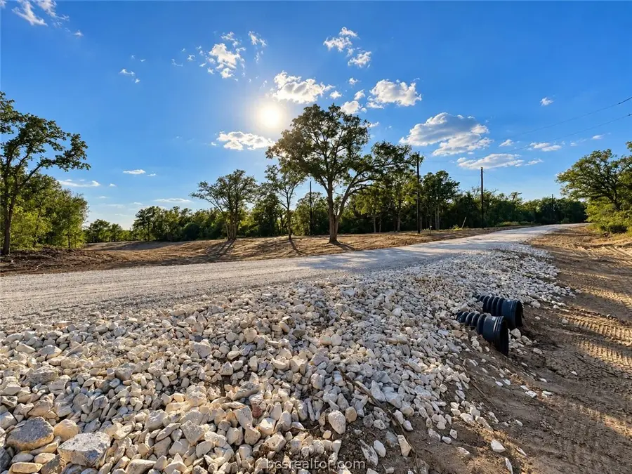 Lot 30-51 Meadow Street, Somerville, TX 77879 - #2