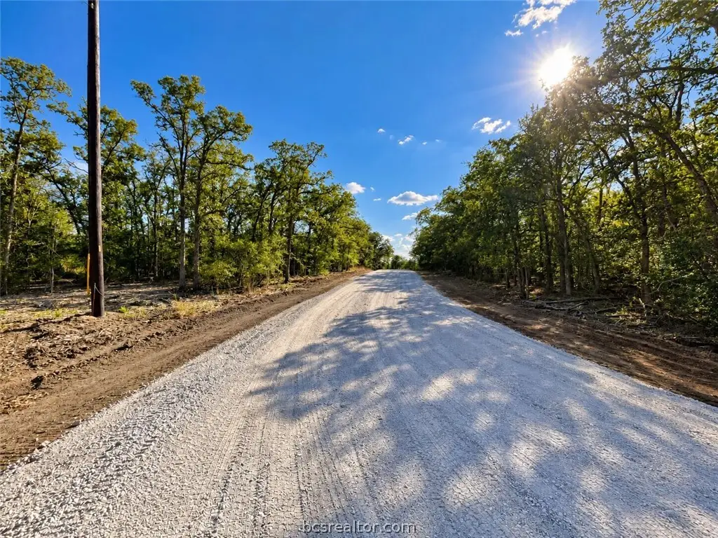Lot 34-35 Meadow Street, Somerville, TX 77879 - #1