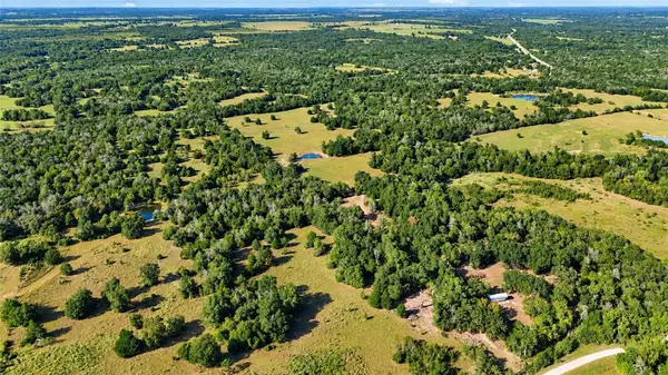 160 Cr 271 (+/-58.46 Acres), Bremond, TX 76629