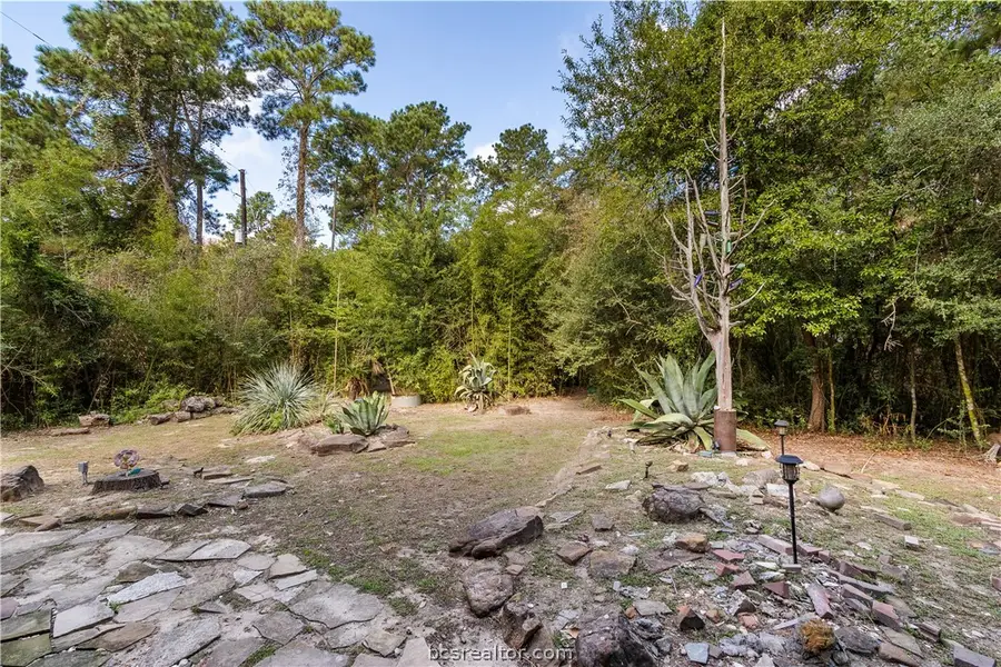 8387 Box Elder, Plantersville, TX 77363 - #3