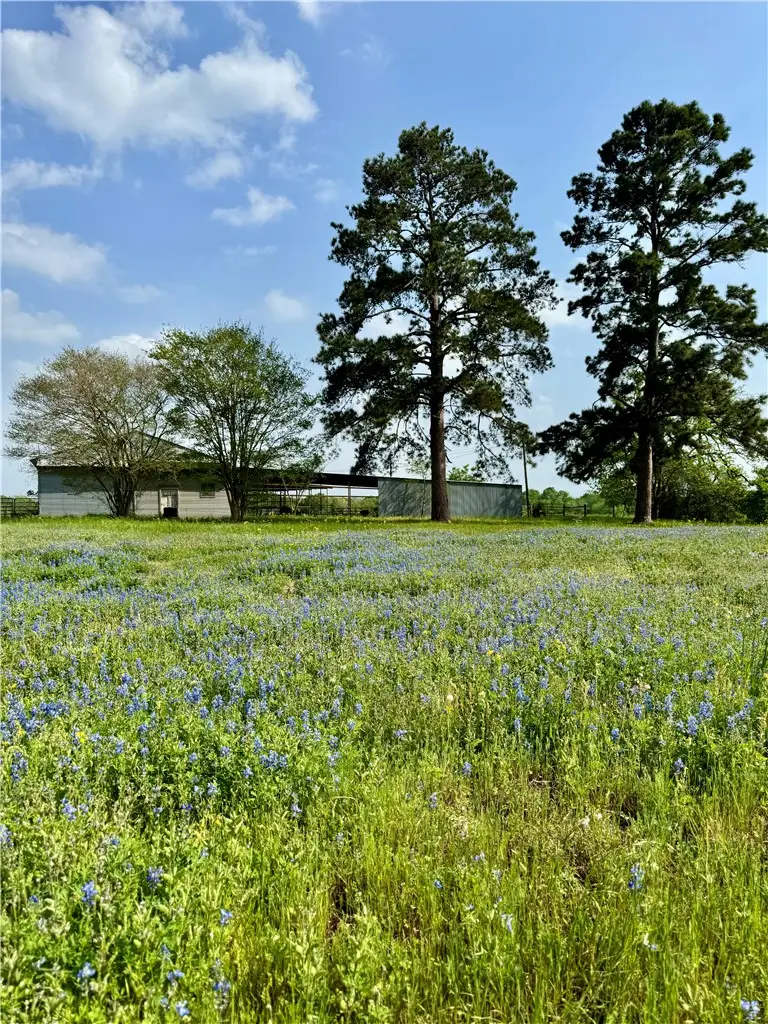 15420 Arhopulos Road, College Station, TX 77845 - #1