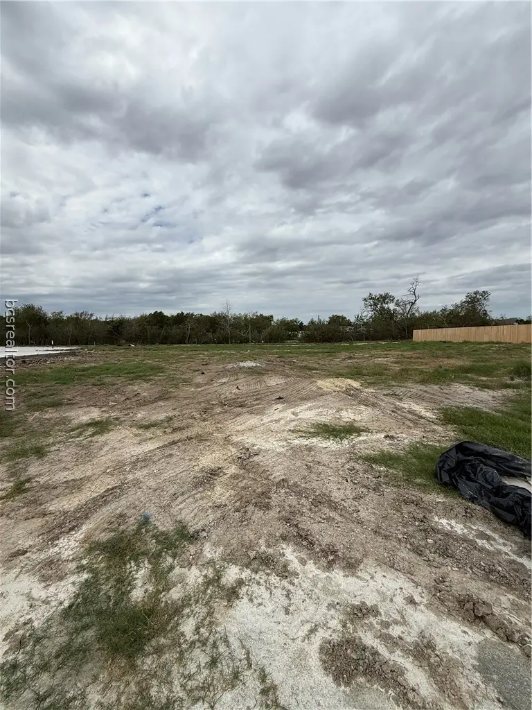 2318 Pagosa Springs Drive, Bryan, TX 77803 - #1
