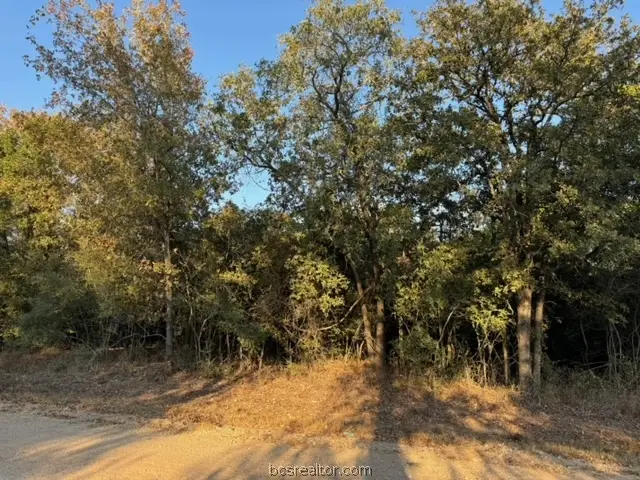 3387 Beaver Creek Road, Caldwell, TX 77836 - #1