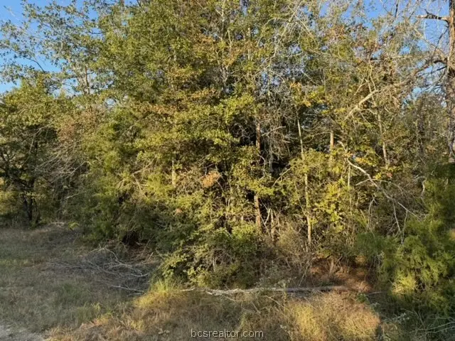 3387 Beaver Creek Road, Caldwell, TX 77836 - #2