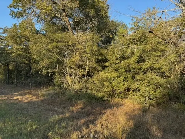 3387 Beaver Creek Road, Caldwell, TX 77836 - #3