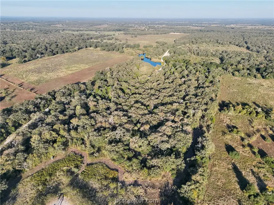 7069 Fm 60, Snook, TX 77878 - #2