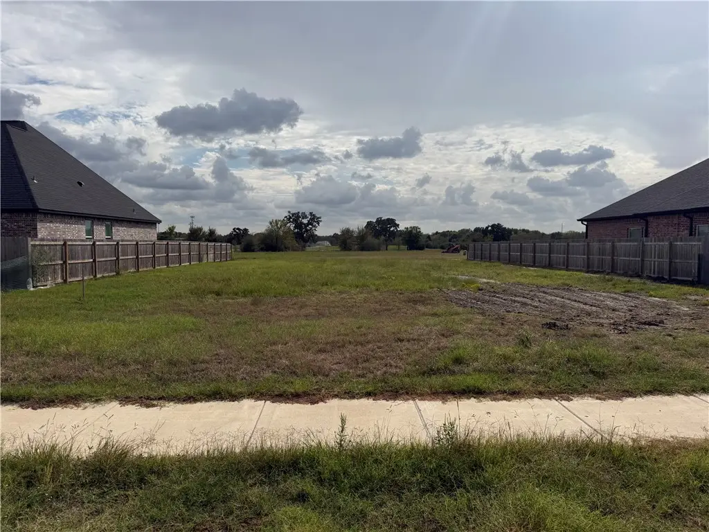 4227 Skylar Drive, College Station, TX 77845 - #1