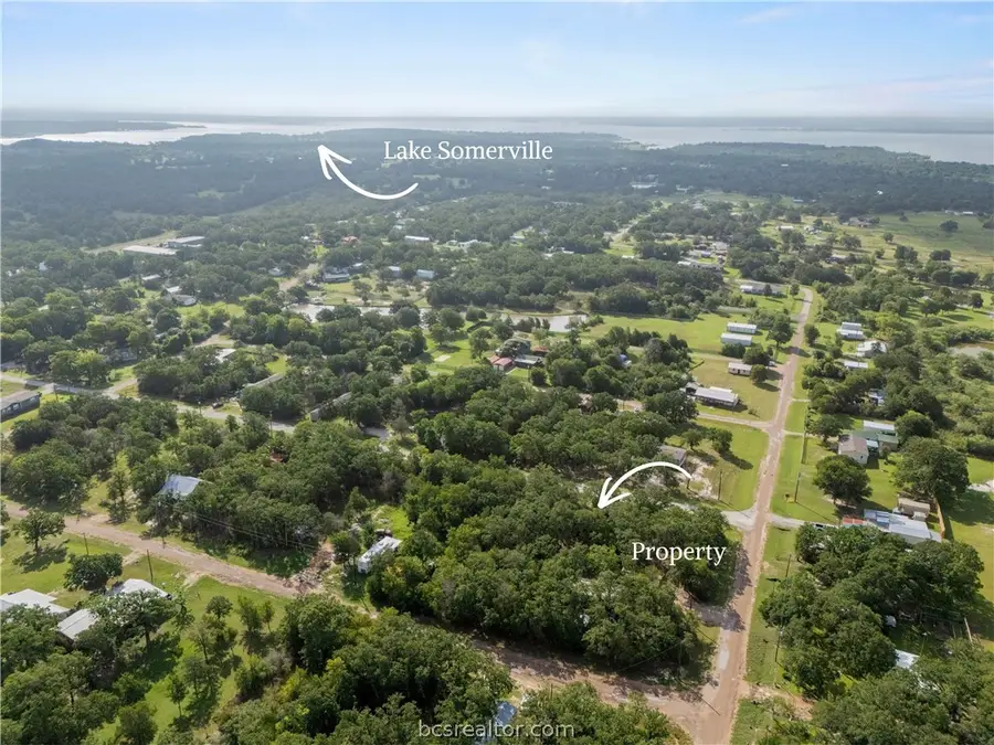 .57 Acres Pond Street, Somerville, TX 77879 - #2