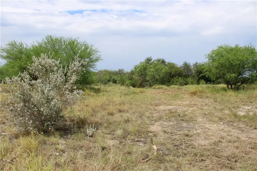 00 Lot 3 Vista Fina Dr., Sandia, TX 78383 - Image #3