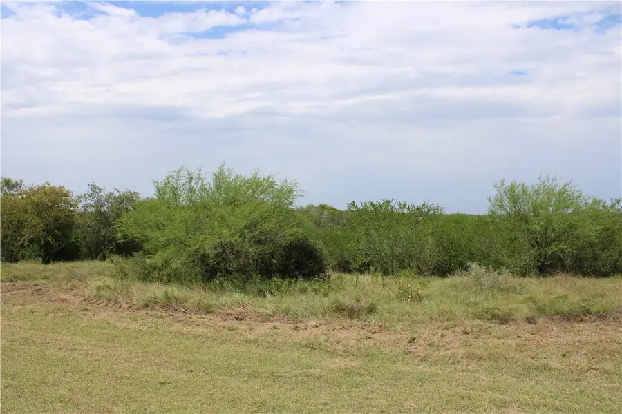 0 Lot 9 Vista Fina Dr., Sandia, TX 78383 - Image #2