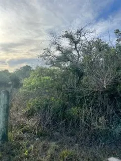 131 Mcpherson Road, Rockport, TX 78382