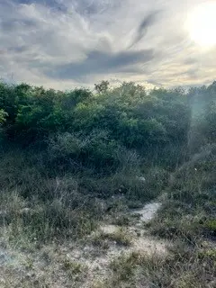 131 Mcpherson Road, Rockport, TX 78382 - Image #3