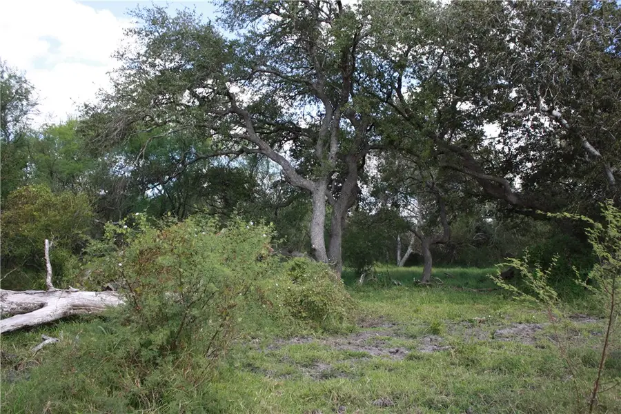 Address Withheld By Seller, Sinton, TX 78387 - Image #3