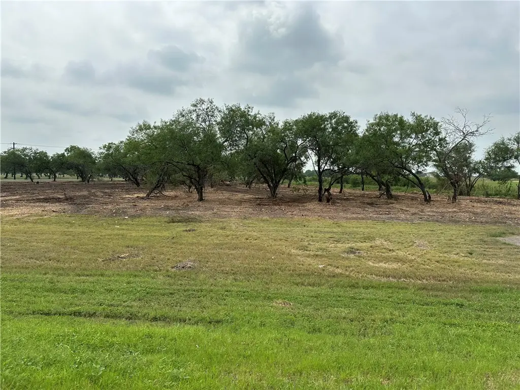 00 E Hwy 44 X Cr 341 Highway, Alice, TX 78332 - Image #1