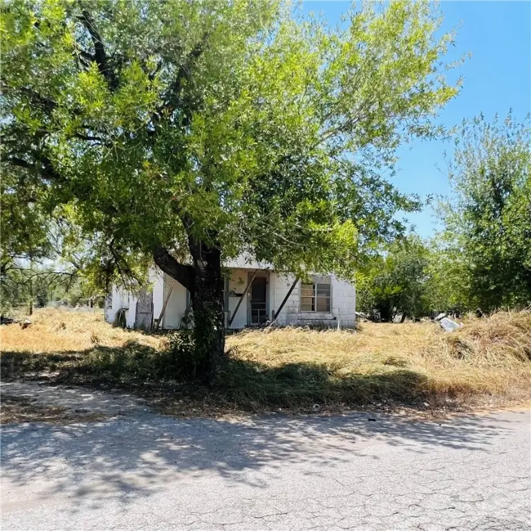 0 SE 3rd Street, Premont, TX 78375 - Image #2