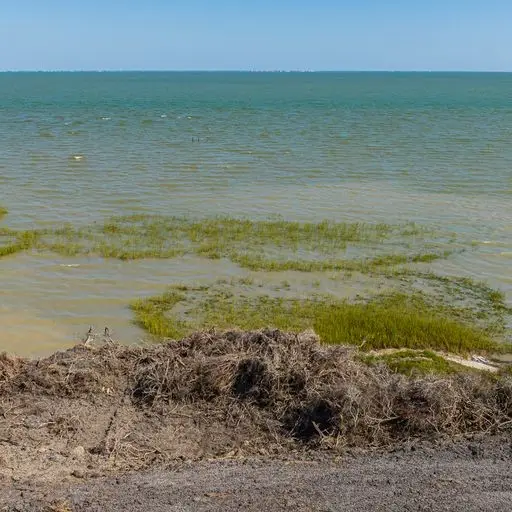 2415 First Street, Bayside, TX 78340 - Image #3