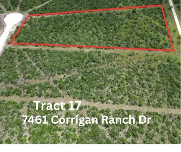7460 Corrigan Ranch- Tract 17 Road, Skidmore, TX 78389