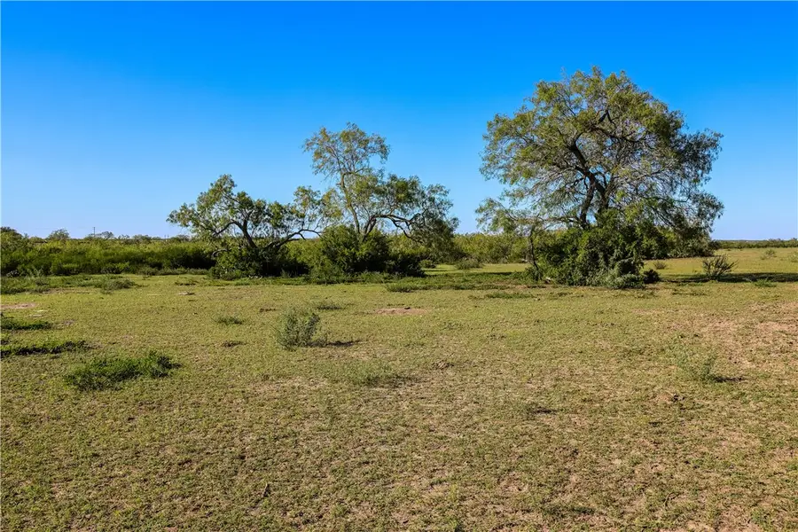 FM738 Tbd, Orange Grove, TX 78372 - Image #3